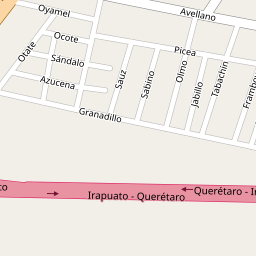 Colonia 12 de Diciembre, 36576, Irapuato, Guanajuato